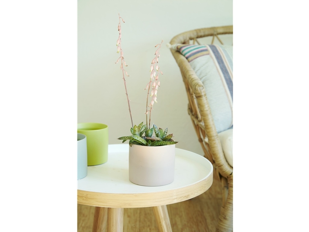 CYLINDER CACHE POT, MIX COLOR, 4.0"X3.5", SOLD IN CASE OF 12