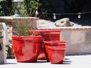 CANA GARDEN PLANTER, LAVISH RED, SET OF 4- 24"X20", 19"X17", 16"X13", 12"X10"