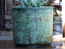 REDONDO PLANTER MID, CORAL GEM GREEN, SET OF 4-19.5"X18.0", 17.0"X15.5", 15.0"X14.0", 13"X12.5"