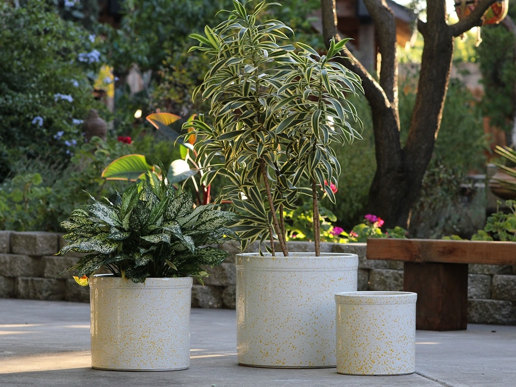 SPROUT POT, HONEY SPLASH, SET OF 3,  15"X13.5"  12"X11" 10"X9"