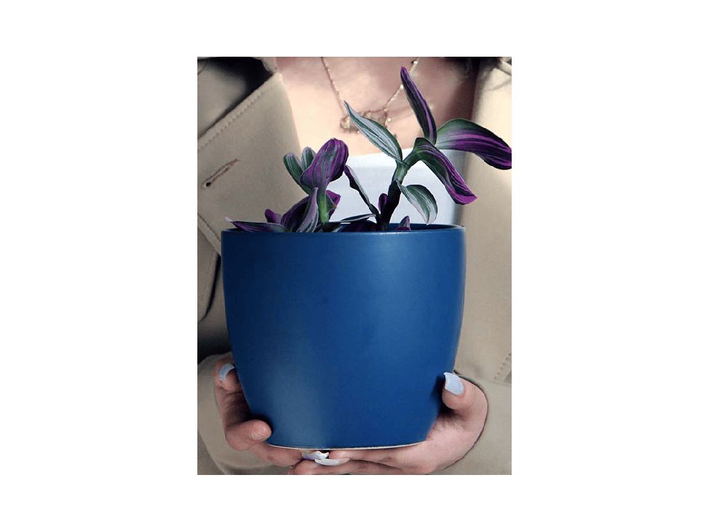 PEACE LILY CACHE POT, MATTE CLASSIC BLUE, 6.5"X5.5", SOLD IN CASE OF 8