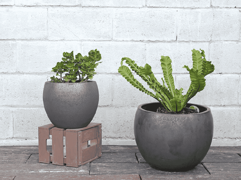 LOW MILANO PLANTER, MATTE BLACK, SET OF 2 - 16.0" X 12.0", 12.0" X 10.0"