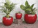 LOW MILANO PLANTER, LAVISH RED, SET OF 3-21.5" X 15.5", 16.0" X 12.0", 12.0" X 10.0"