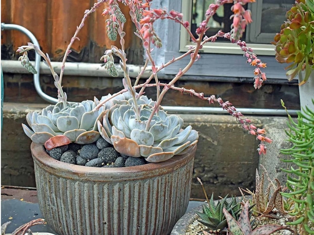 FAUX ZIN CAN LOW PLANTER, HEIRLOOM WHITE, SET OF 3 - 18.0"X9.0", 14.5"X8.0", 10.5"X5.5