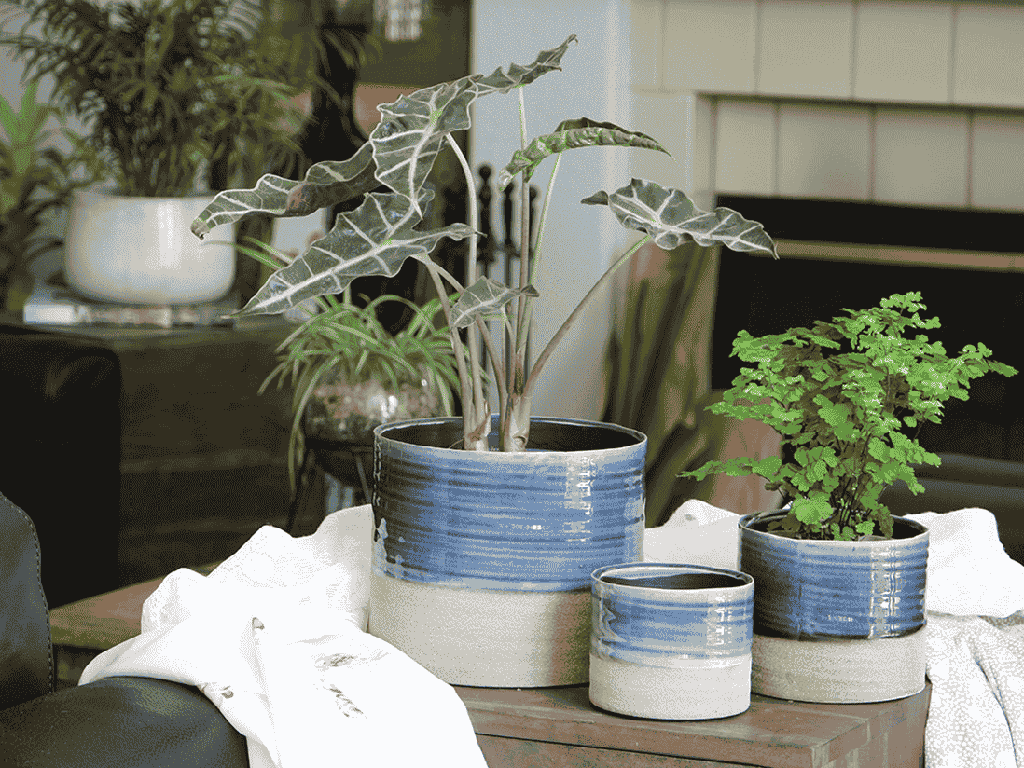 JEWEL MUG PLANTER, NATURAL BLUE, 4.5" X 4.5" X 4.0", SOLD IN CASE OF 8