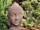 MEDIUM BUDDHA HEAD, STONE BROWN, SIZE B, 14"X 20"