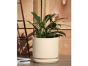 MID MODERN PLANTER WITH DETACHED SAUCER, IVORY CLAY, 14.0"X12.0", 14.0"X2.5"