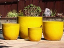 EGG SHELL POTS, CANARY YELLOW, SET OF 4 - 22.5" X 18.0", 17.5" X 15.0", 14.0" X 12.0", 11.5" X 12.0"