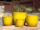 EGG SHELL POTS, CANARY YELLOW, SET OF 4 - 22.5" X 18.0", 17.5" X 15.0", 14.0" X 12.0", 11.5" X 12.0"