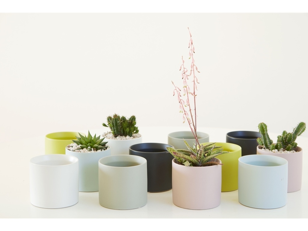 CYLINDER CACHE POT, MIX COLOR, 4.0"X3.5", SOLD IN CASE OF 12