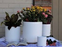 FLUTED CYLINDER PLANTER WITH ATTACHED SAUCER, BRIGHT WHITE, 9.0"x 9.5", SOLD IN CASE OF 4