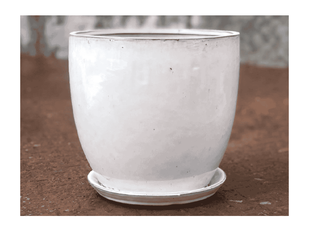 [PY-AS1025WSP-D] VALENCIA PLANTER WITH ATTACHED SAUCER, WHITE SPOT, 8.5"X7.5"