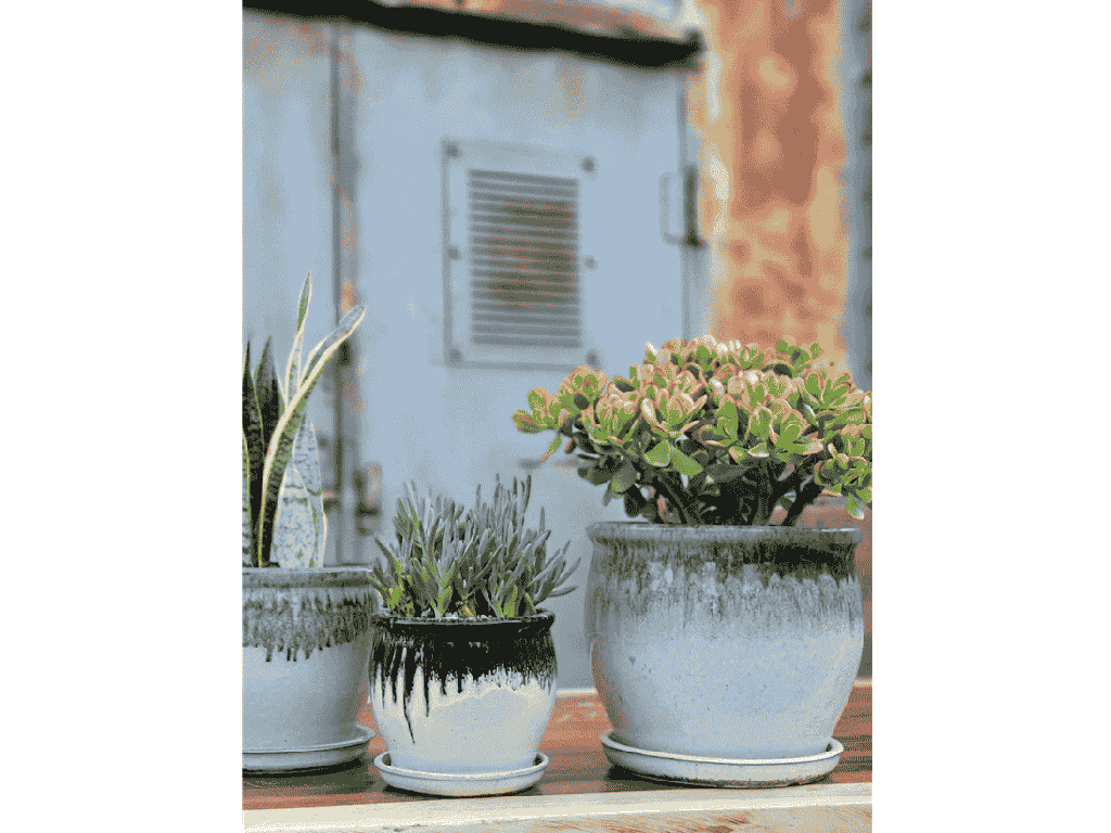 [PY-AS1699MCH-C] GOBLET PLANTER WITH ATTACHED SAUCER, MOCHA, 10"X9"