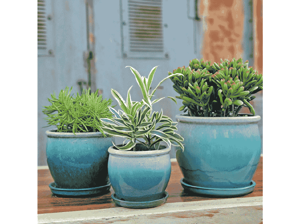 [PY-AS1699MNG-C] GOBLET PLANTER WITH ATTACHED SAUCER, MORNING GREEN, 10"X9"