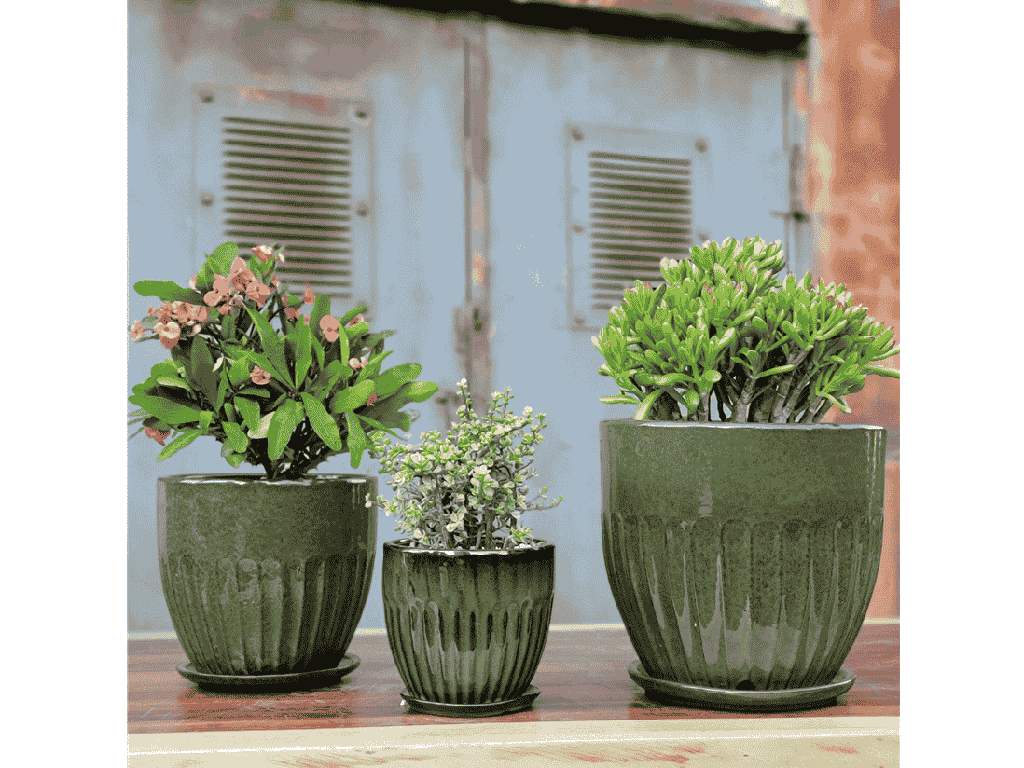 [PY-AS5094TGN-C] ZARAGOZA PLANTER WITH ATTACHED SAUCER, TROPICAL GREEN, 11.5" X 10"