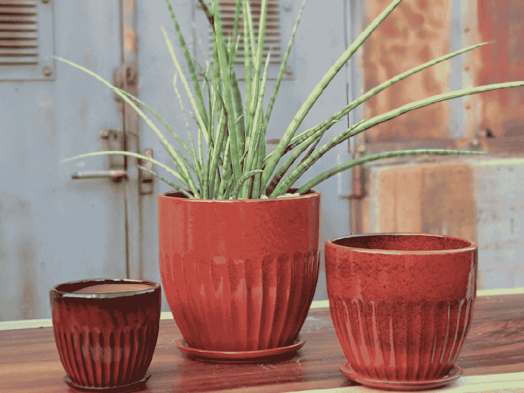 [PY-AS5094TRD-D] ZARAGOZA PLANTER WITH ATTACHED SAUCER, TROPICAL RED, 8.0" X 7.5"