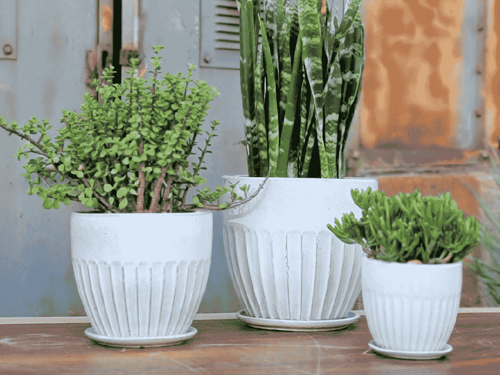 [PY-AS5094WSP-C] ZARAGOZA PLANTER WITH ATTACHED SAUCER, WHITE SPOT, 11.5" X 10"