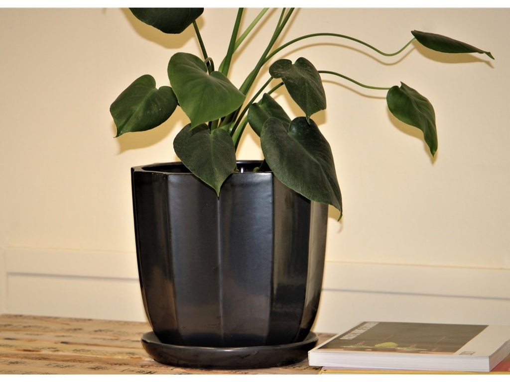 [PY-AS5180SVR-C] CLAMSHELL PLANTR WITH ATTACHED SAUCER, SILVER, 6.5"X6.5"