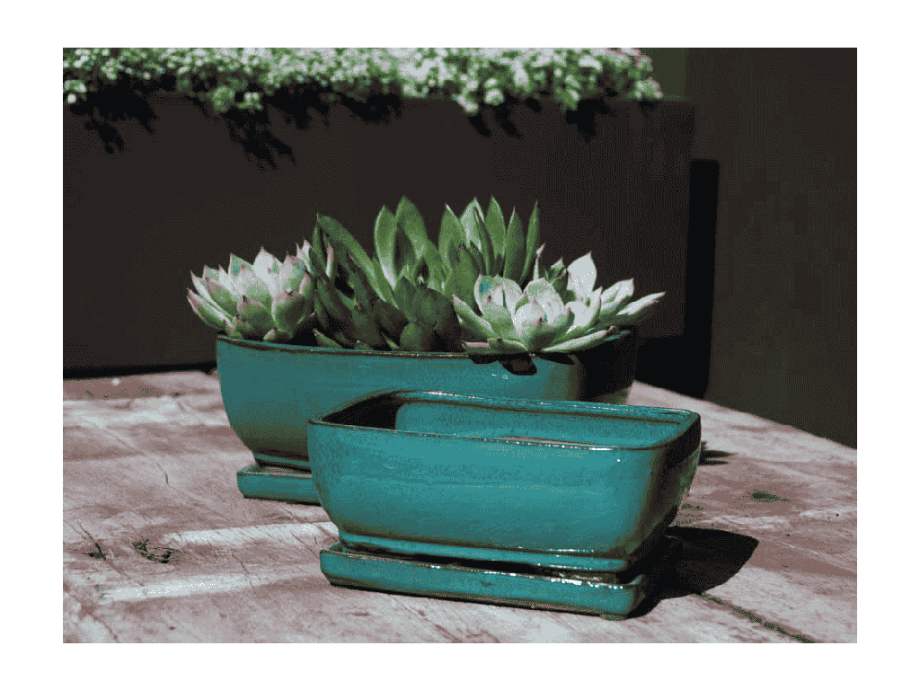 [PY-B1016JDE-B-C4] ROSEMARY BONSAI POT, JADE, 9"X7"X3" (SOLD IN CASE OF 4)