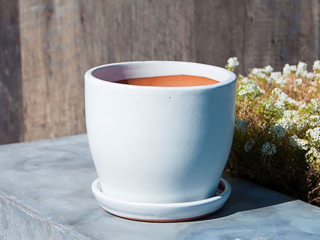 [PY-I1099WSP-B-C4] LILY INDOOR PLANTER WITH ATTACHED SAUCER SIZE B, WHITE SPECKLE, 6.0"x5.5" (SOLD IN CASE OF 4)