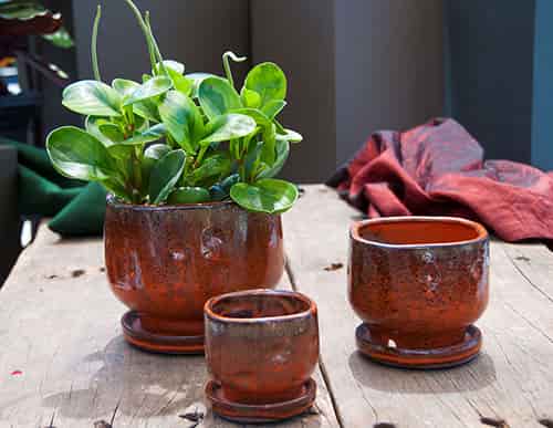 [PY-I1236SDN-B-C6] FINGER POT WITH ATTACHED SAUCERS, SEDONA, SIZE B, 5.5"x5.0"4.5" (SOLD IN CASE OF 6)