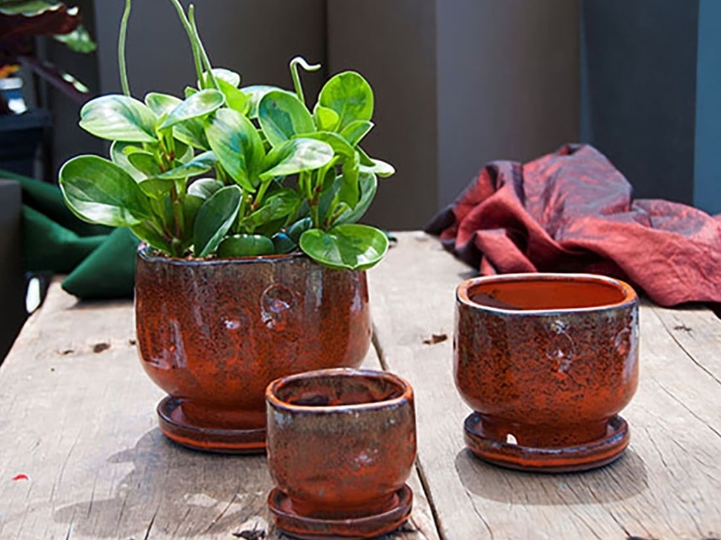 [PY-I1236SDN-C-C8] FINGER POT WITH ATTACHED SAUCERS, SEDONA, SIZE C, 4.0"x3.5"x3.0" (SOLD IN CASE OF 8)