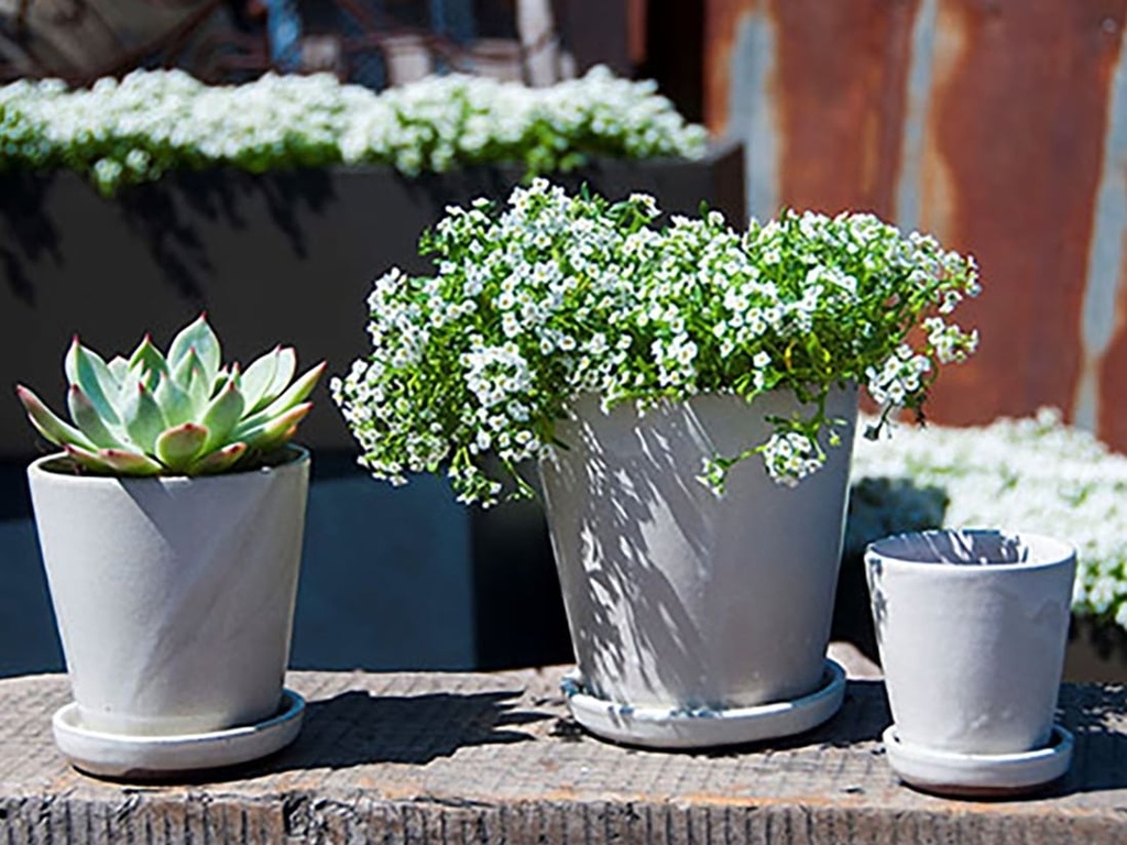 [PY-I1513WSP-B-C8] LILAC POT WITH ATTACHED SAUCER, WHITE SPOT, SIZE B, 4.5"X4.5" (SOLD IN CASE OF 8)