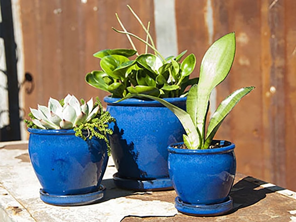 [PY-I1643FBL-C-C8] BUTTER CUP POT WITH ATTACHED SAUCER, FALLING BLUE, SIZE C, 4.5"X4.5" (SOLD IN CASE OF 8)