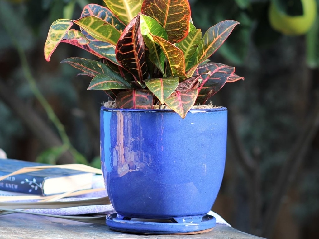 [PY-I5060FBL-B-C6] MAUI INDOOR PLANTER WITH ATTACHED SAUCER, FALLING BLUE, 5"X4.5" (SOLD IN CASE OF 6)