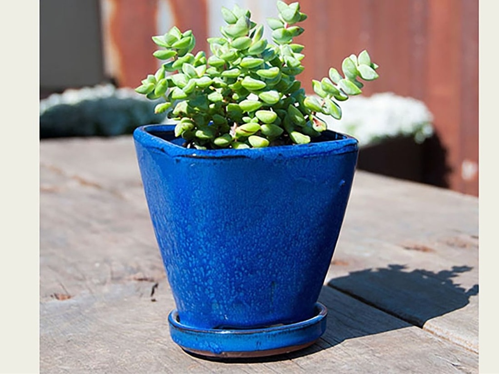 [PY-I5072FBL-B-C6] OAHU INDOOR PLANTER WITH ATTACHED SAUCER, FALLING BLUE, 5"X4.5" (SOLD IN CASE OF 6)