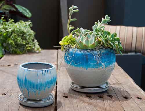 [PY-I5073MBL-B-C6] GERBERA POT WITH ATTACHED SACUER, MARBLE, SIZE B, 5.5"X5.5" (SOLD IN CASE OF 6)