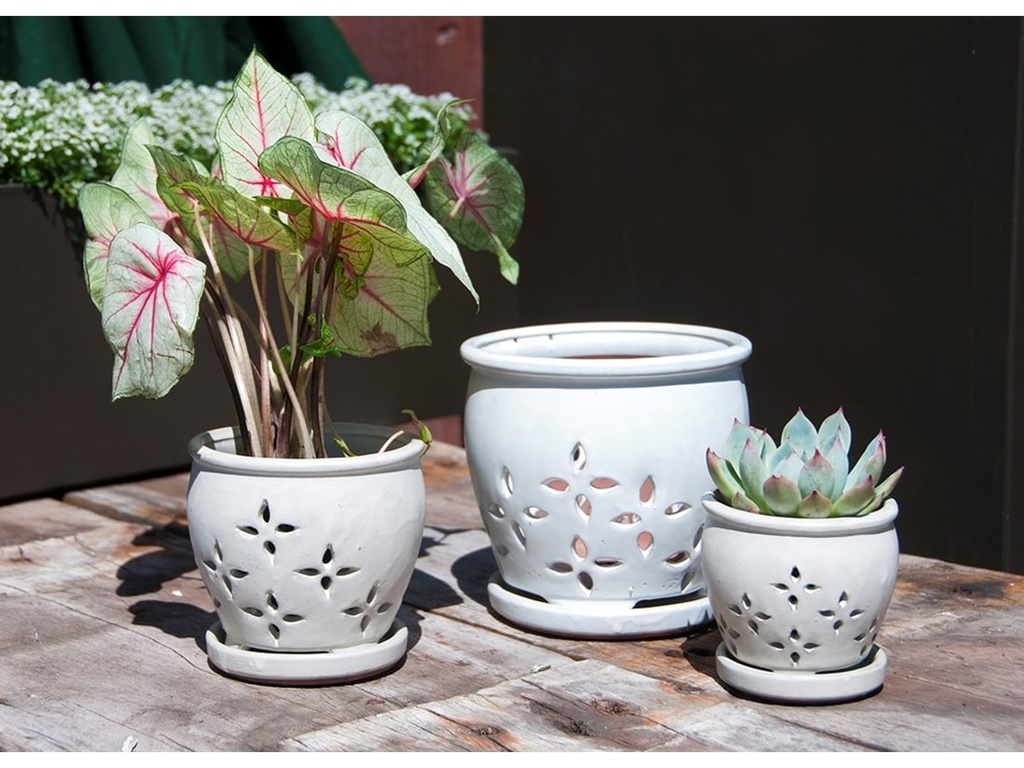 [PY-O5079WSP-A-C4] HILO ORCHID POT, WHITE SPOT, 7.5" X 6", (SOLD BY CASE OF 4)