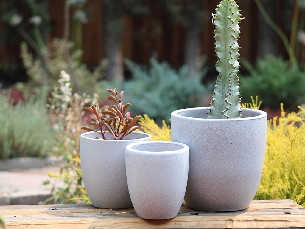 [PY-T5177WSP-S3] ANTHURIUM, WHITE SPOT,SET OF 3- 8.5"X8.5",6.5"X6.5",5.5X5.5,