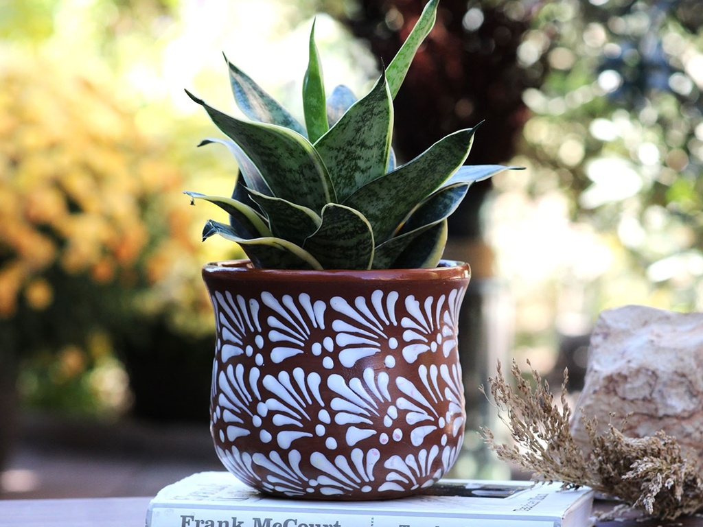 [TL-J5048CST-C-C8] CHAMPANERA POT, SMALL, 6.5"X5.5", CHRYSANTHEMUM TERRA COTTA, SOLD IN CASE OF 8