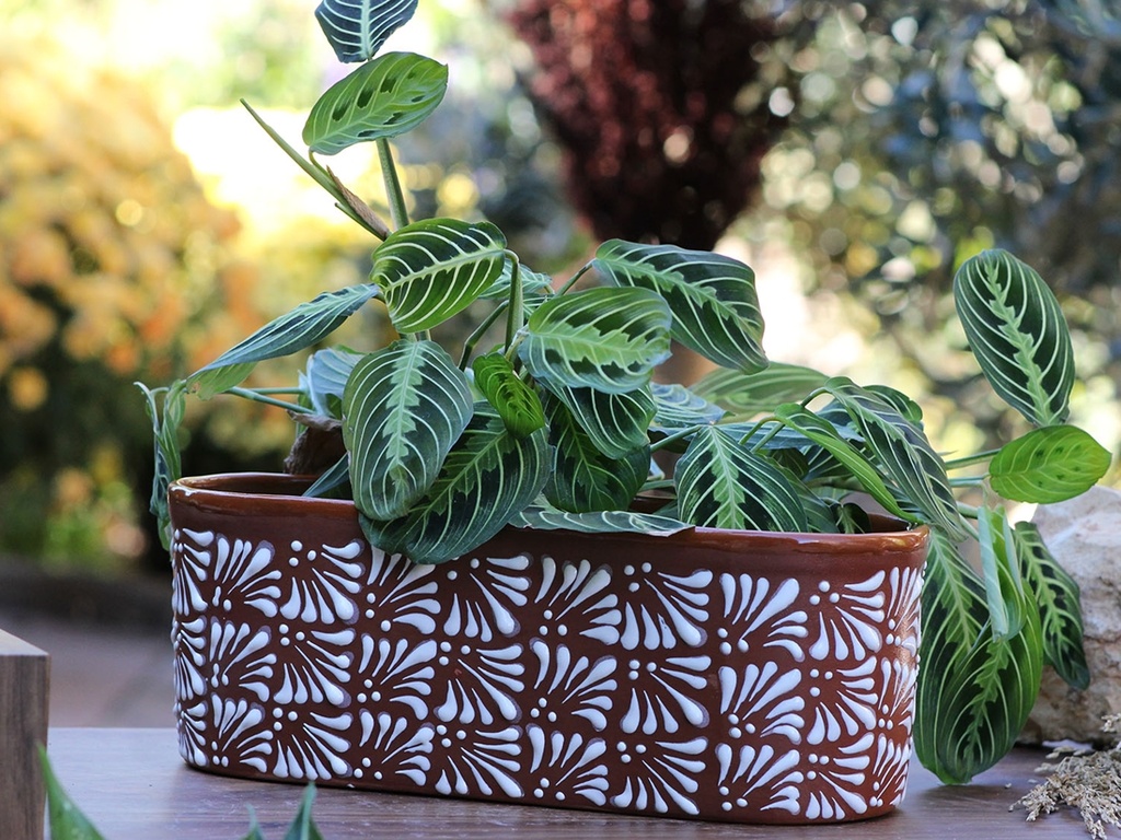 [TL-J5234CST-C2] CANOE PLANTER, LARGE, 13.5"X6.5"X5.0", CHRYSANTHEMUM TERRA COTTA, SOLD IN CASE OF 2