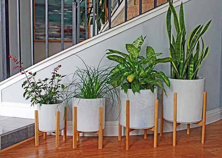 [AA-WSMM05PC-C4] MID MODERN MEDIUM STAND FOR PY-5178, 12.0"X13.0", SOLD IN CASE OF 4