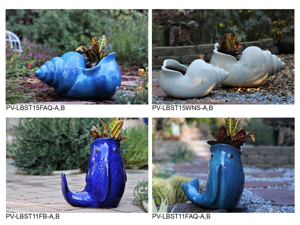 [BP-26-0012] CARP AND SHELL ASSORTMENT