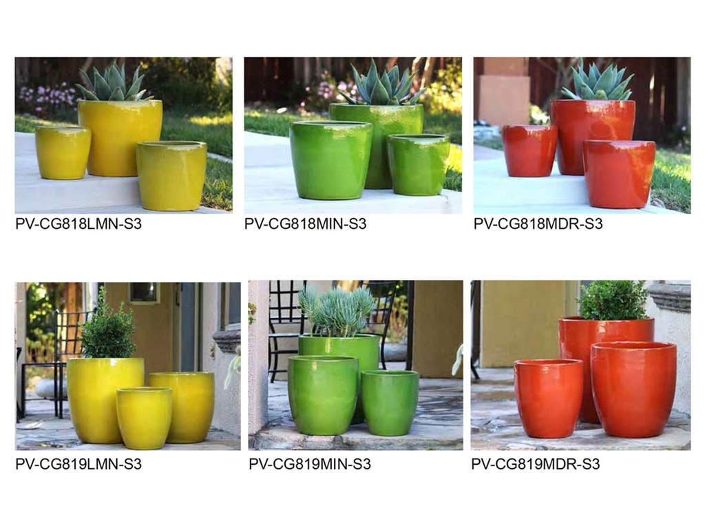 [BP-26-0021] TROPICAL TRIO ASSORTMENT