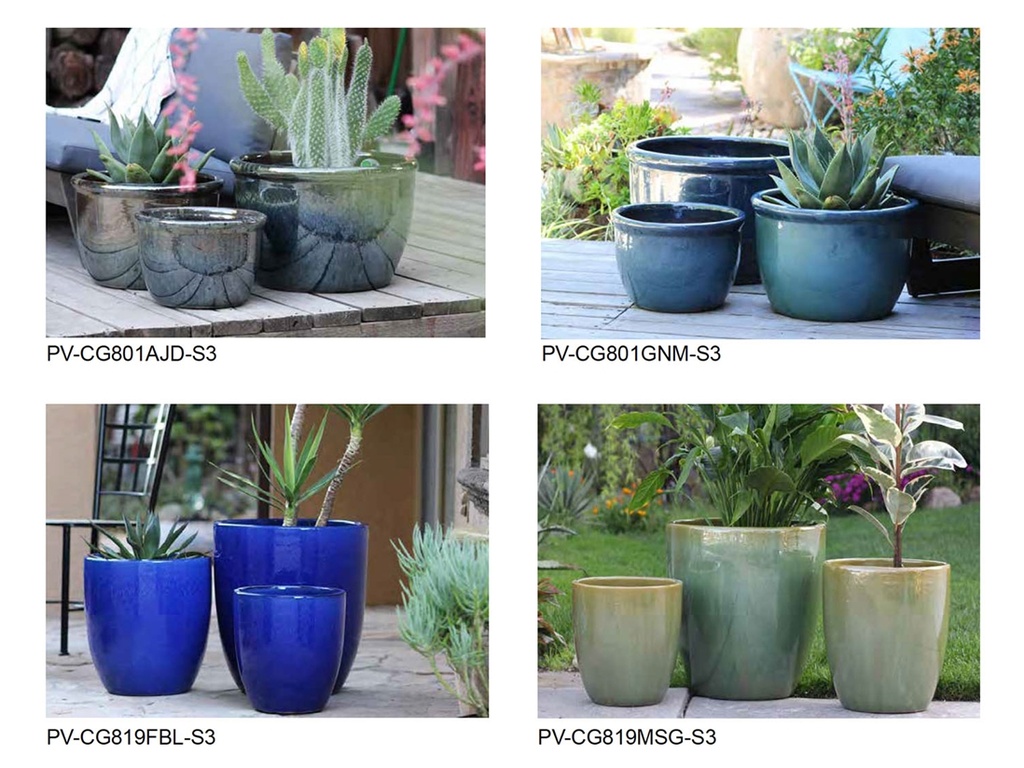 [BP-26-0024] MYSTIC GROVE COLLECTION