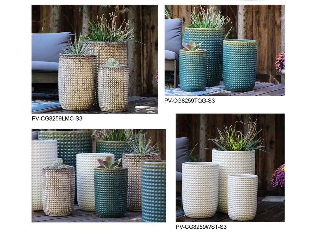 [BP-26-0029] CHELSEA WAFFLE ASSORTMENT