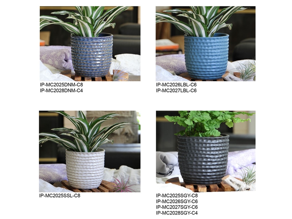 [BP-26-0504] SEASONAL COLOR ASSORTMENT