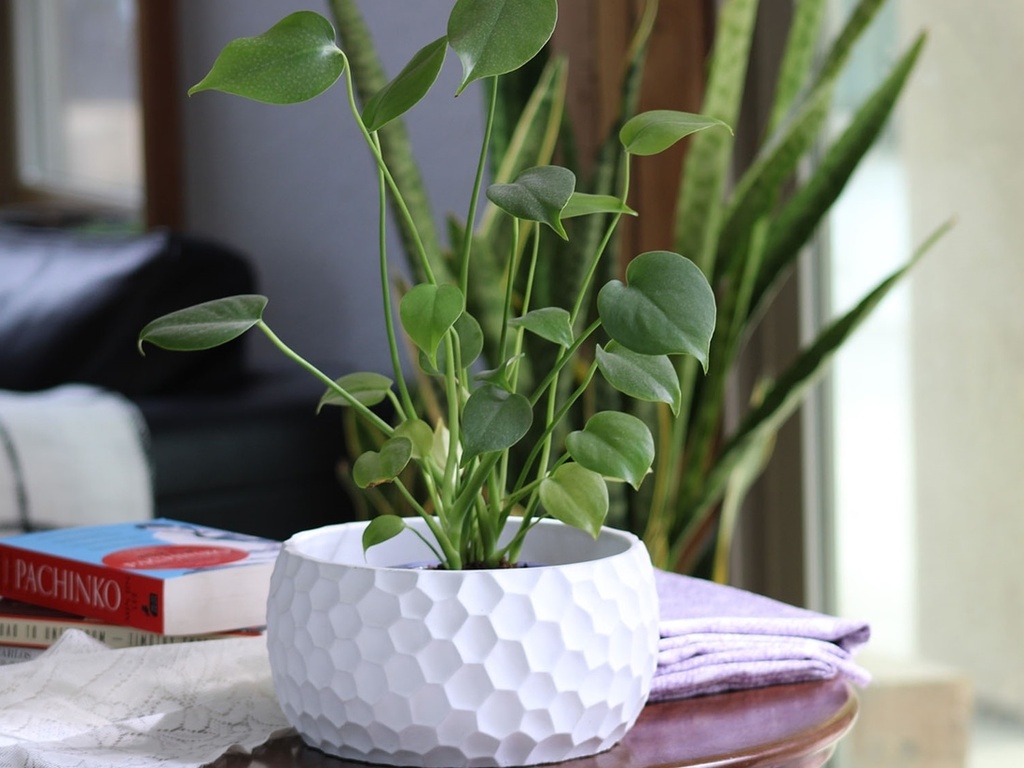 [IC-0055BLW-C6] ART DÉCOR HONEY COMB BOWL, BLANK WHITE, 7.5"X4.0" SOLD IN CASE OF 6