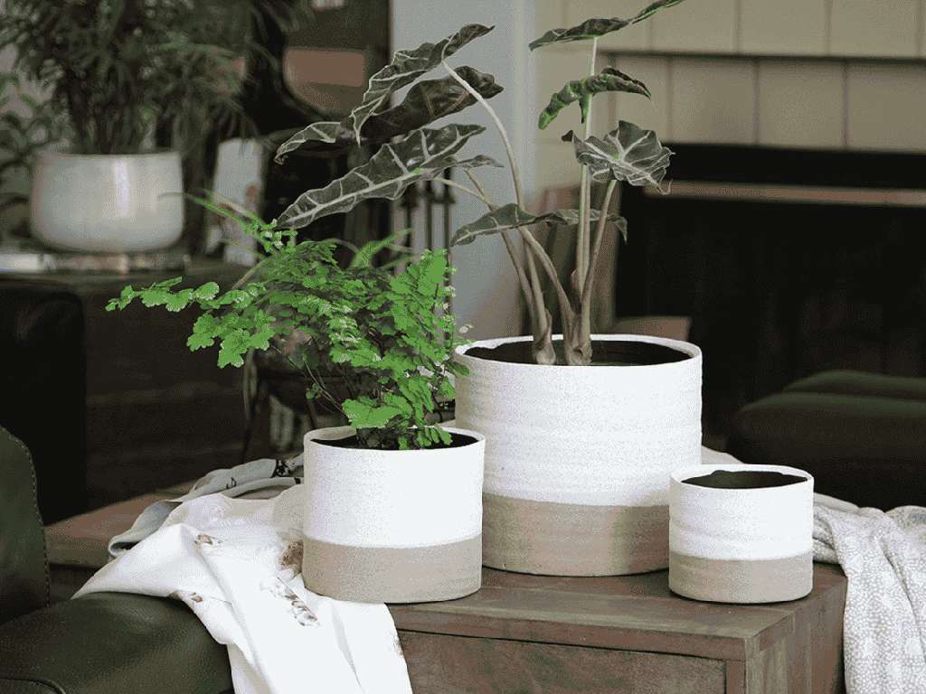 [IP-J11001IVS-A-C2] JEWEL MUG PLANTER, IVORY SPECKLE, 8.5" X 7.5", SOLD IN CASE OF 2