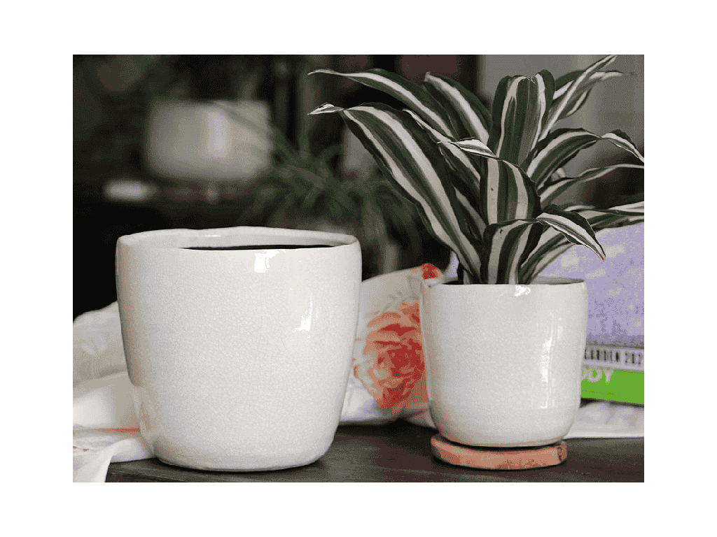 [IP-J16240IVC-A-C4] JEWEL FREEFORM PLANTER, IVORY CRACKLE, 6.5" X 6.5" X 6.0", SOLD IN CASE OF 4