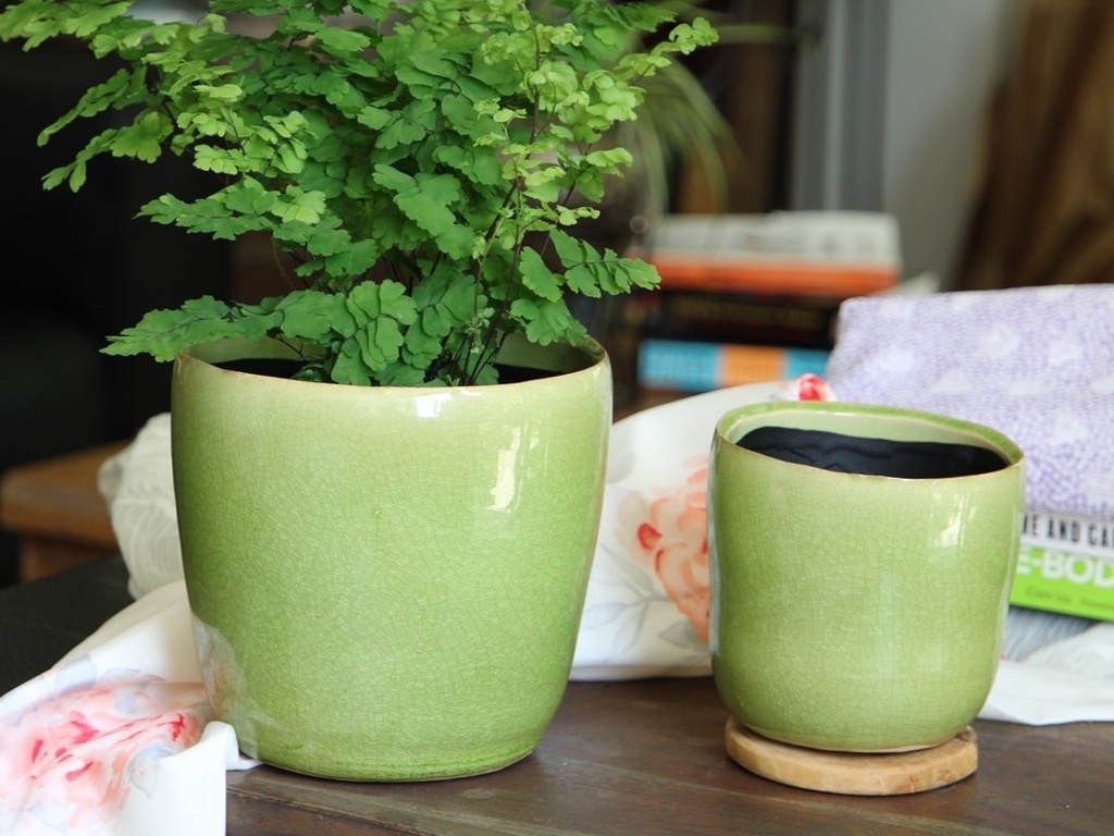 [IP-J16240PSC-A-C4] JEWEL FREEFORM PLANTER, PISTACHIO CRACKLE, 6.5" X 6.5" X 6.0", SOLD IN CASE OF 4