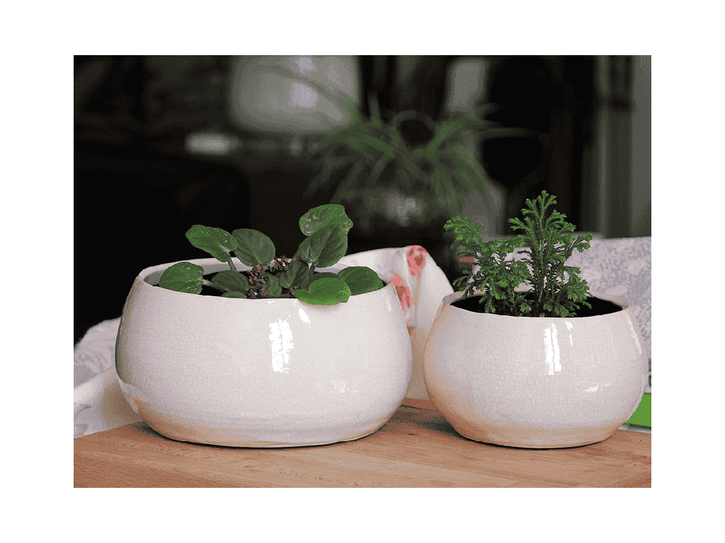 [IP-J16242IVC-B-C6] JEWEL FREEFORM BOWL, IVORY CRACKLE, 6.0" X 6.0" X 3.5", SOLD IN CASE OF 6