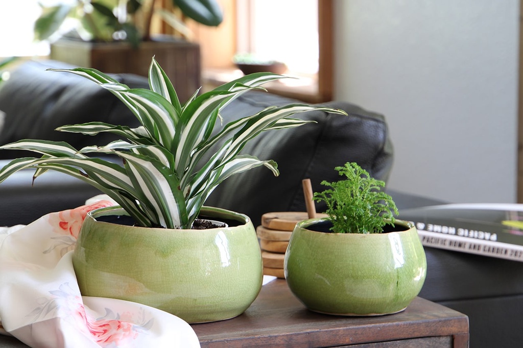 [IP-J16242PSC-A-C4] JEWEL FREEFORM BOWL, PISTACHIO CRACKLE, 8.5" X 8.5" X 4.0", SOLD IN CASE OF 4