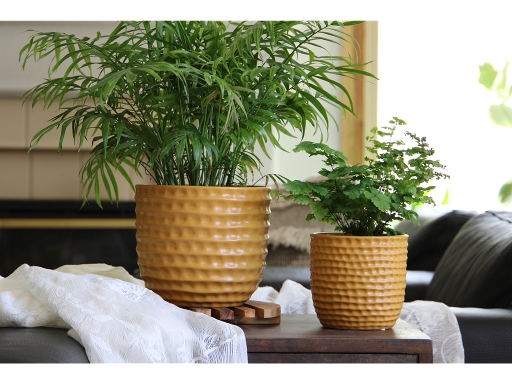 [IP-MC2025MST-C8] HONEYCOMB PLANTER, MUSTARD, 5.5"x5" SOLD IN CASE OF 8