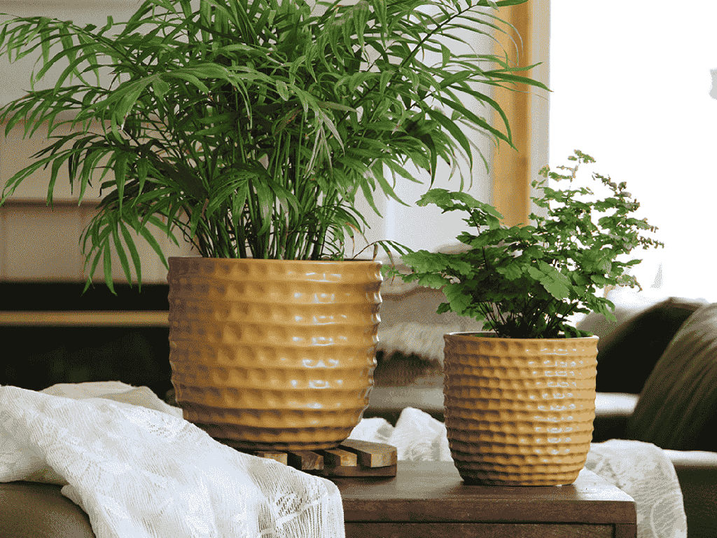 [IP-MC2027MST-C6] HONEYCOMB PLANTER, MUSTARD, 7.5"x7" SOLD IN CASE OF 6