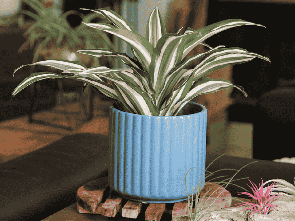 [IP-MC2036DNM-C6] BRUSH COMB PLANTER, DENIM, 6.5"x6.5" SOLD IN CASE OF 6
